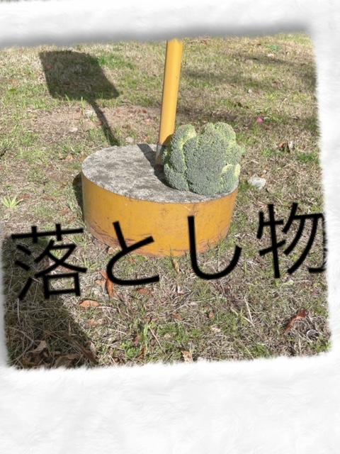 ちあきさんのブログ画像