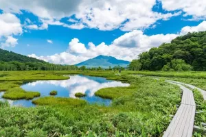 アオイさんのブログ画像