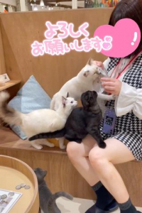 あずささんのブログ画像