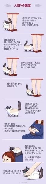 ゆまさんのブログ画像