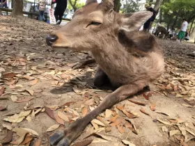 りなさんのブログ画像